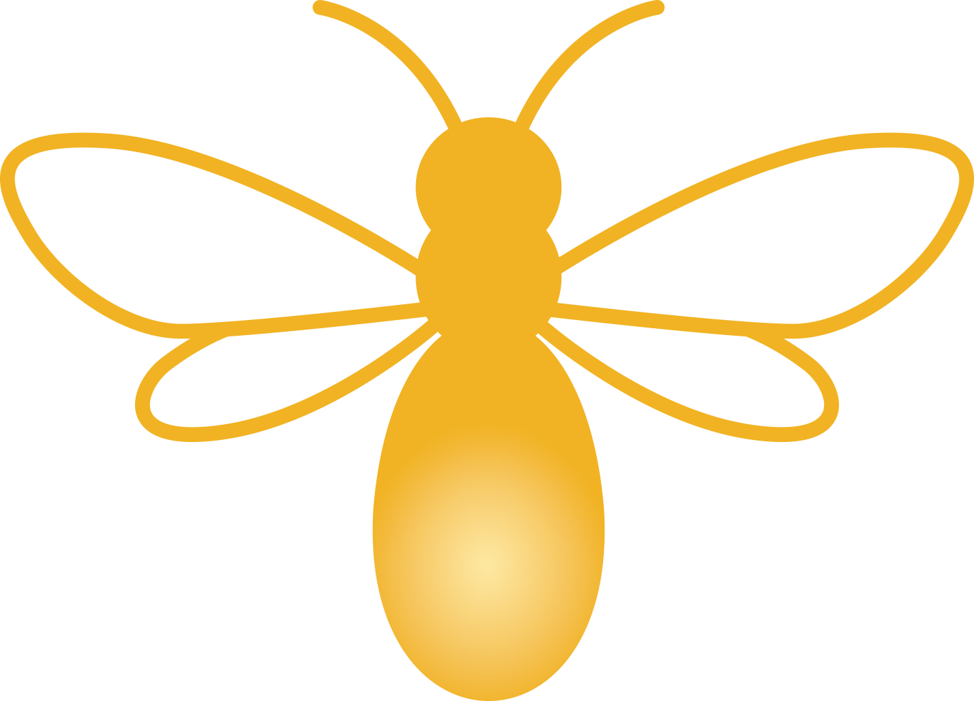 A glowing golden firefly illustration.